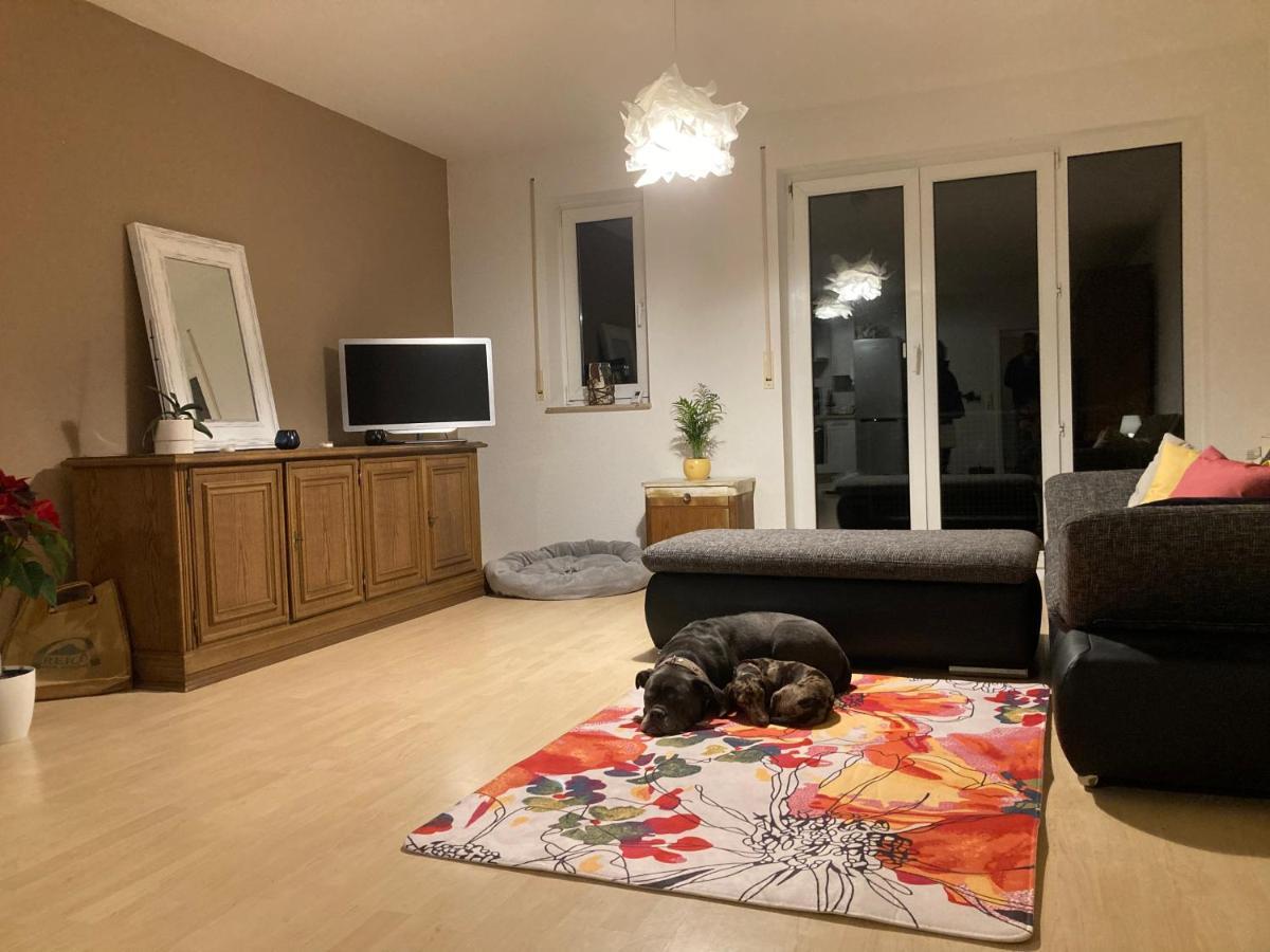 3 Zi Wohnung Haustiere Willkommen Im Markgraeflerland Dreilaendereck Schliengen Dış mekan fotoğraf